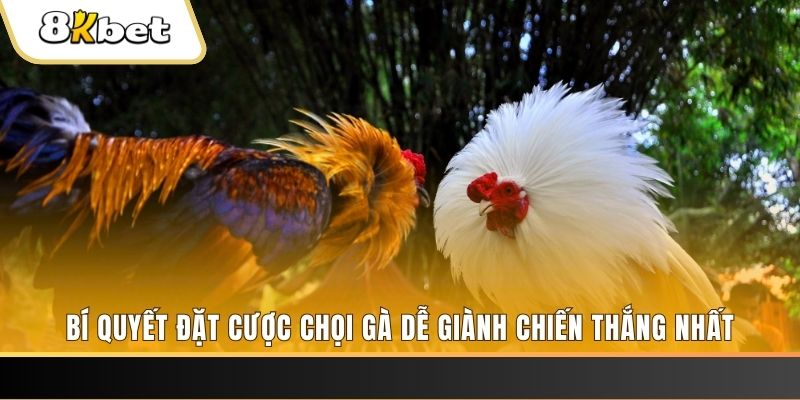 game 88 casino ĐĂNG KÝ